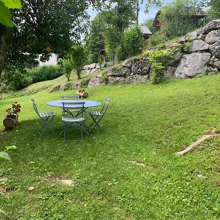 Apartment Des Fleurs Samoens
